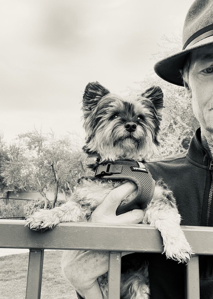 SteveHiller1's tweet image. She’s no #fool !! If you have 4 legs she will defend us #relentlessly. Fair #warning.🇺🇸😎