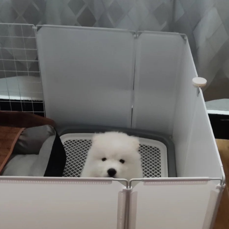 dogonboo's tweet image. เคยจะอยุ่ในสายตาเทอบ้างไม