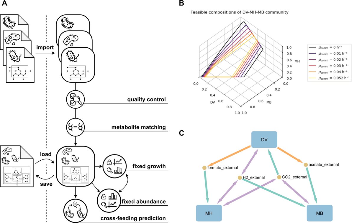 🧬Easily & effortlessly generate communities of genome-scale metabolic models with PyCoMo for #COBRA

‼️Plus: Fully compliant w #SBML  standards‼️

Check out doi.org/10.1093/bioinf…

Excellent collaboration lead by #MichaelPredl & #MarianneMiesskes w #CUBE  @univie_stem ⚙️