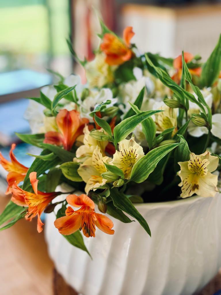 🐣HAPPPY EASTER!!🌷#GardeningX #GardeningTwitter #britishflowersrock #britishflowers #GrownNotFlown #flower #Easter #easterflowers #EasterMonday #easter2024 #FlowerHunting #flowerphotography #FlowersOfTwitter #flowersphoto #flowerpower #garden #gardening #beautifulflowers #BLOOMS