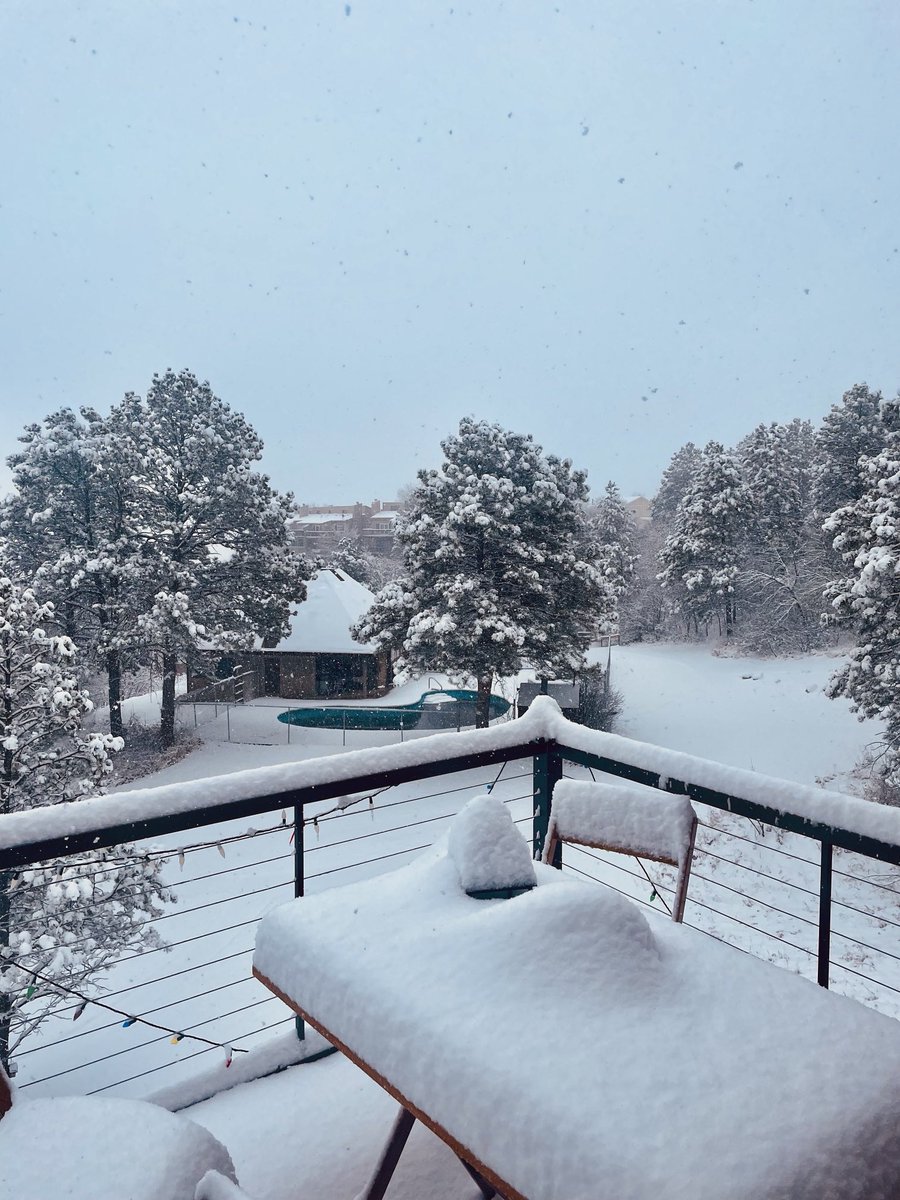 Spring snowstorm in the #blackhills #hifromsouthdakota