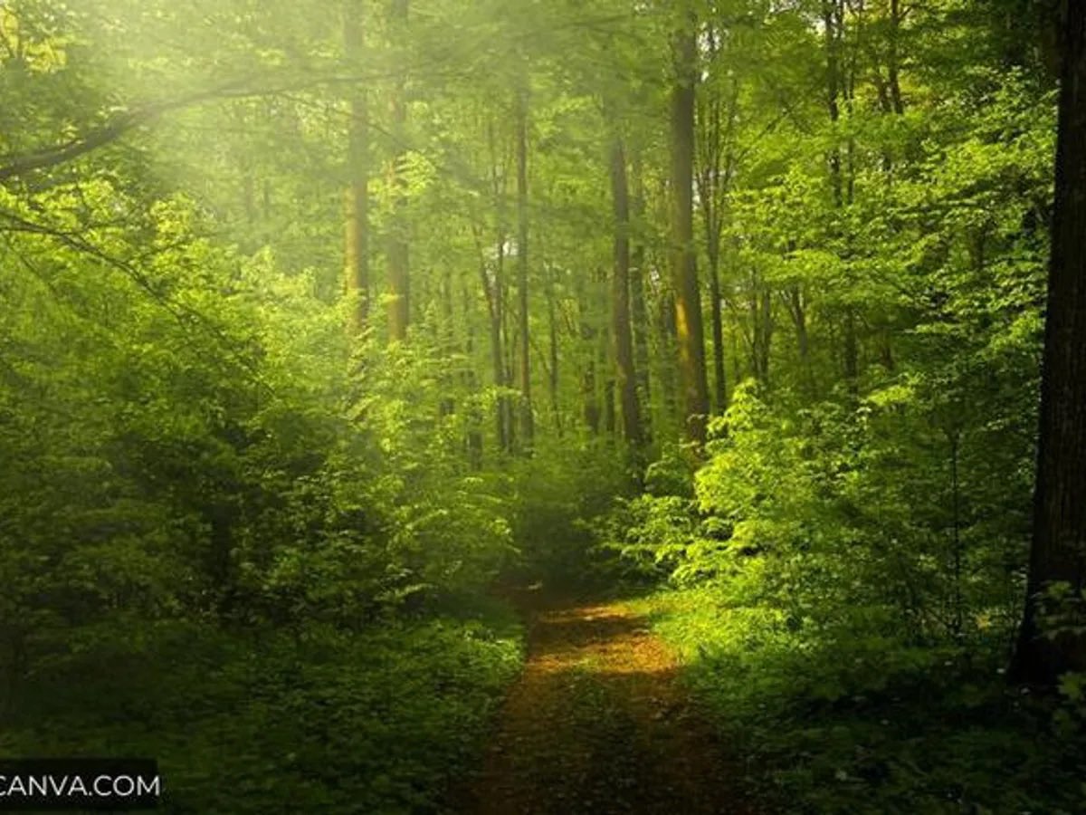 George Tsakraklides tweet media