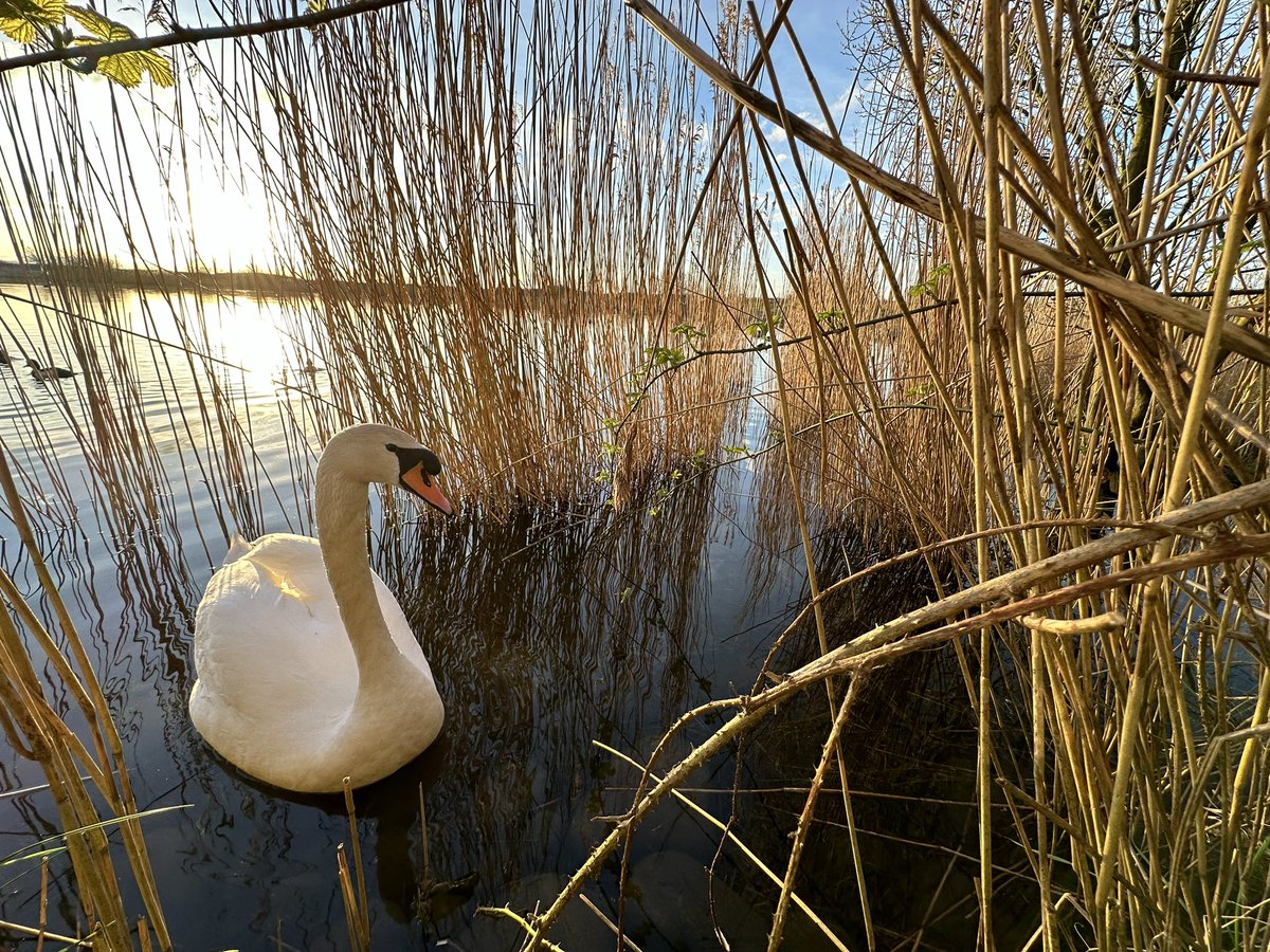 Early Morning walks are so calming 
Photos are from yesterday’s sunrise walk