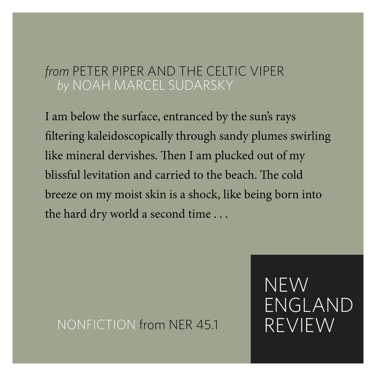 From the essay 'Peter Piper and the Celtic Viper' by Noah Marcel Sudarsky (@Aquasimian), new in our spring issue. To read more, purchase your copy of NER 45.1: bit.ly/NERsubscribenow