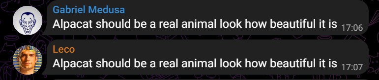 alpacat tweet media