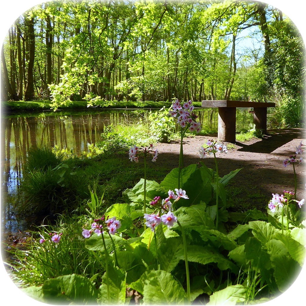 New competition just launched on allthingsnorfolk.com - Chance to win tickets to Fairhaven Woodland & Water Garden Outdoor Cinema @fairhavengarden this Summer - allthingsnorfolk.com/win-tickets-to…