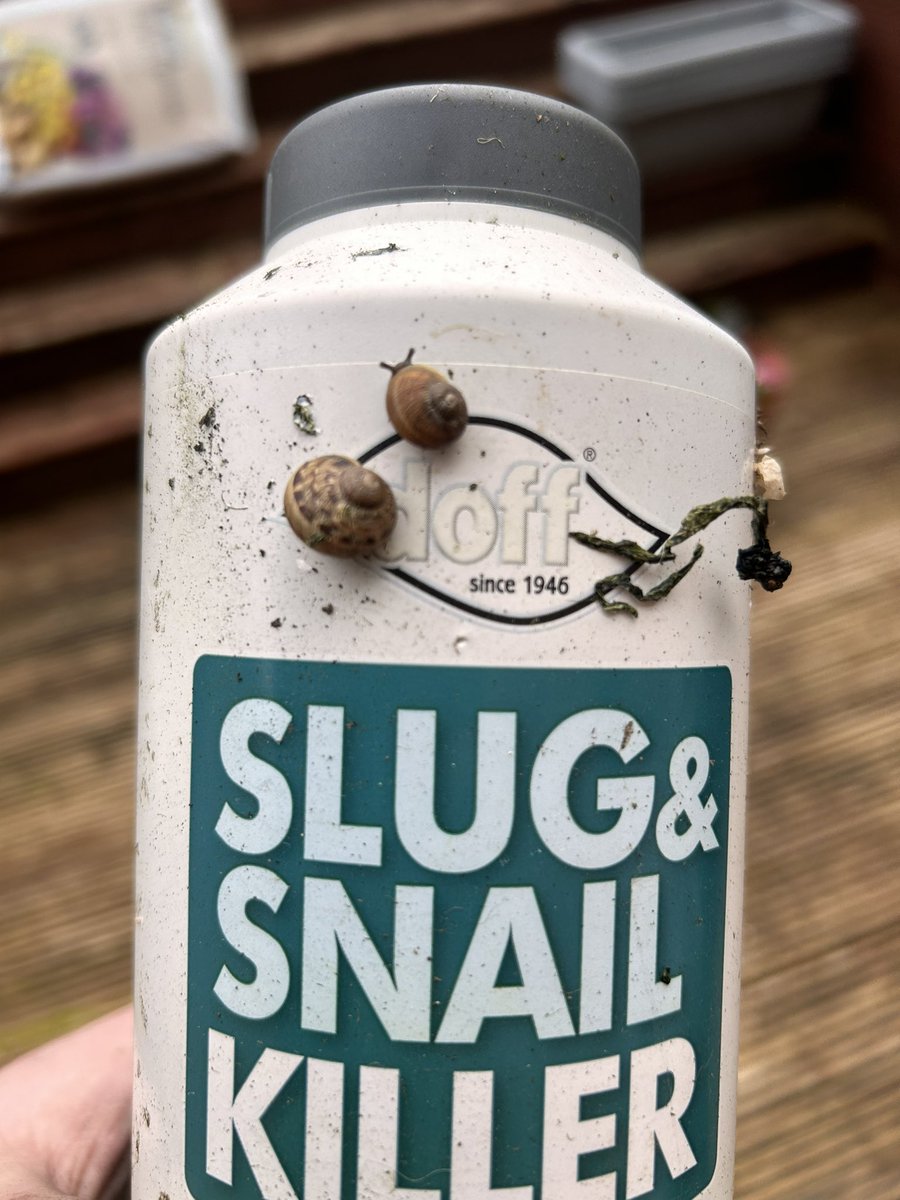 Hi, I’m Jonny knoxsnail and welcome to jackass!! 
They’ve got some backbone these two (ironically). 
#Braveorstupid #gardening #Spring2024