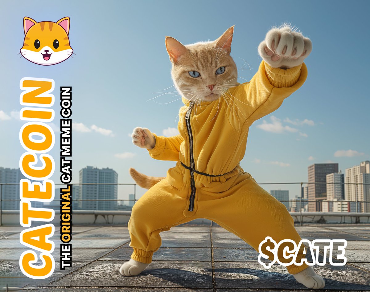CateCoin tweet media