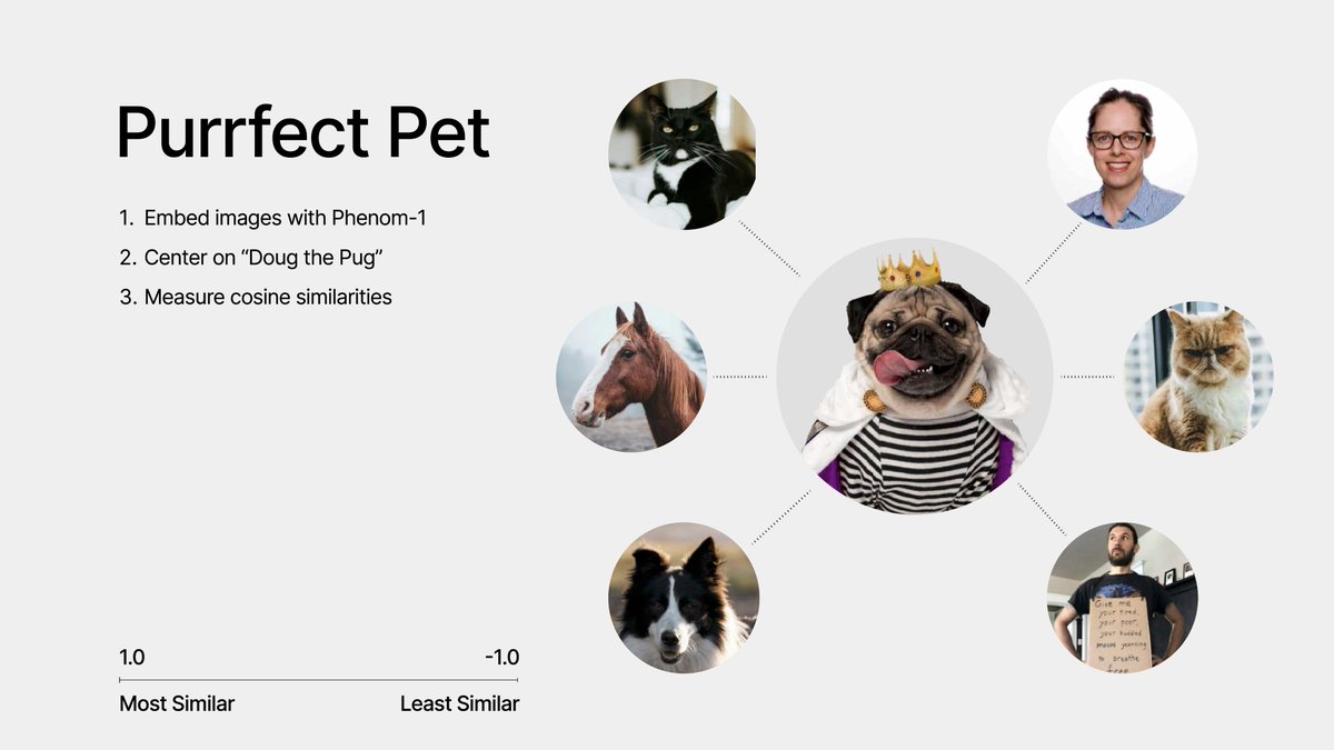 RecursionPharma's tweet image. We’ve expanded our capabilities to address one of the world’s most pressing unanswered questions: Do people really look like their pets?

We cracked the code, and the answer is yes. Introducing #PurrfectPet.

Powered by our in-house #foundationmodel for decoding #biology,…