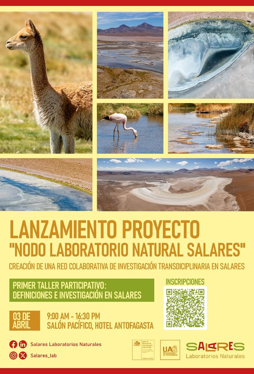 Halófilos (@halofilos) on Twitter photo Este miércoles a las 9:00 AM, se realizará el taller de lanzamiento del proyecto Nodo Laboratorio Natural Salares ( <a href="/Salares_lab/">Salares Laboratorios Naturales</a> ), en la ciudad de Antofagasta. Se trata de una red colaborativa de investigación transdisciplinar en salares. ¡Síganlos en sus redes sociales! Este miércoles a las 9:00 AM, se realizará el taller de lanzamiento del proyecto Nodo Laboratorio Natural Salares ( <a href="/Salares_lab/">Salares Laboratorios Naturales</a> ), en la ciudad de Antofagasta. Se trata de una red colaborativa de investigación transdisciplinar en salares. ¡Síganlos en sus redes sociales!