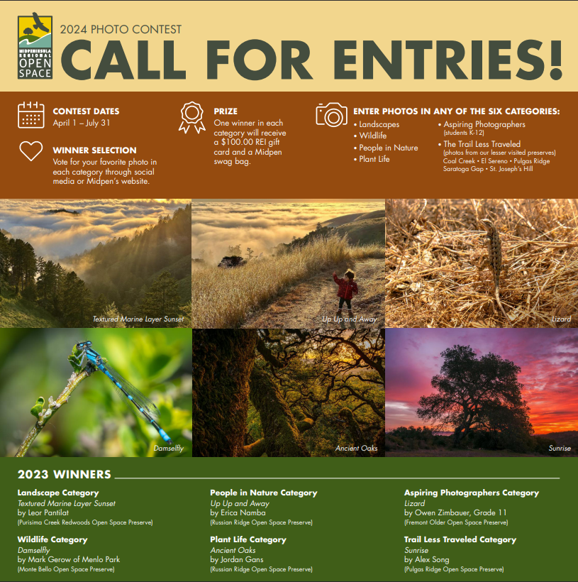 Want to combine your passion for open space and photography? Enter Midpen’s 2024 Photo Contest, now running through July 31! Head over to the contest page for more information and to submit your photos: bit.ly/49kSc2H