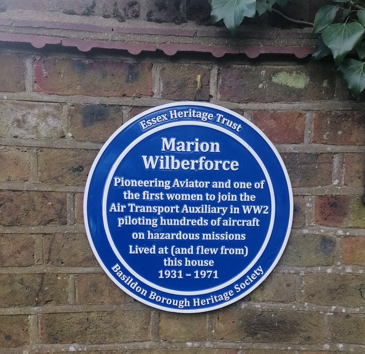 One for a future #WhereInEssex? @EssexHundred Marion certainly seemed a bit of a character