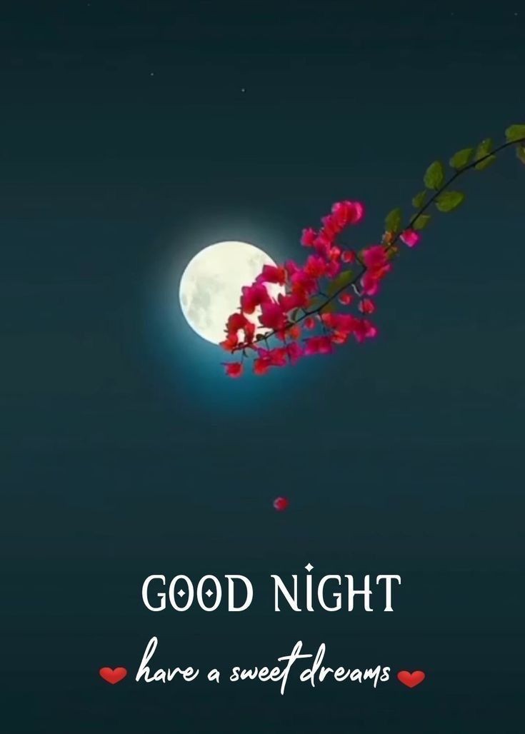 Asslam o alikum!
Good night ☺
Have a nice day💫
#TeamMarinaSummers #DiddyDidIt #RIPDanielBalaji