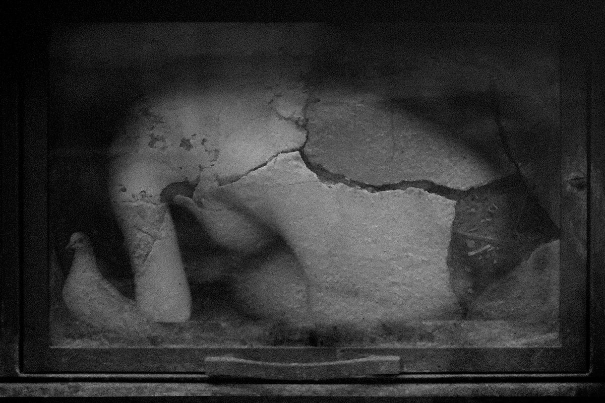 Nasim Ghanizadeh tweet media