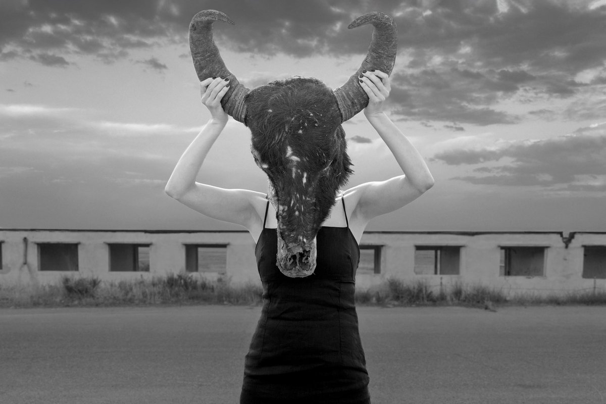 Nasim Ghanizadeh tweet media