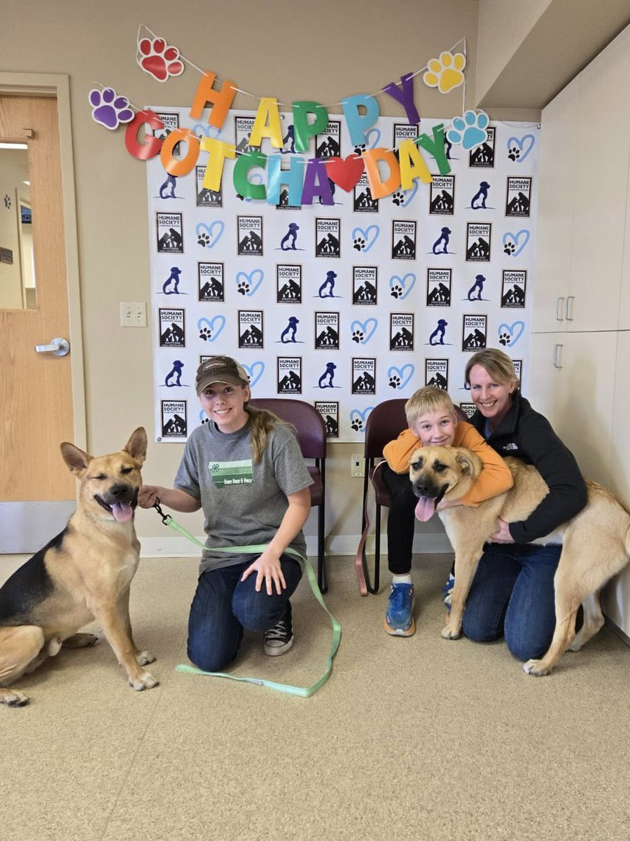 Our dog of the month, Cinnamon, has been adopted! “We believe our joint social media efforts helped her family connect with us & adopt her. They adopted one of her best friends from the shelter too! They get to roam their fenced-in acre together and play to their hearts’ content”