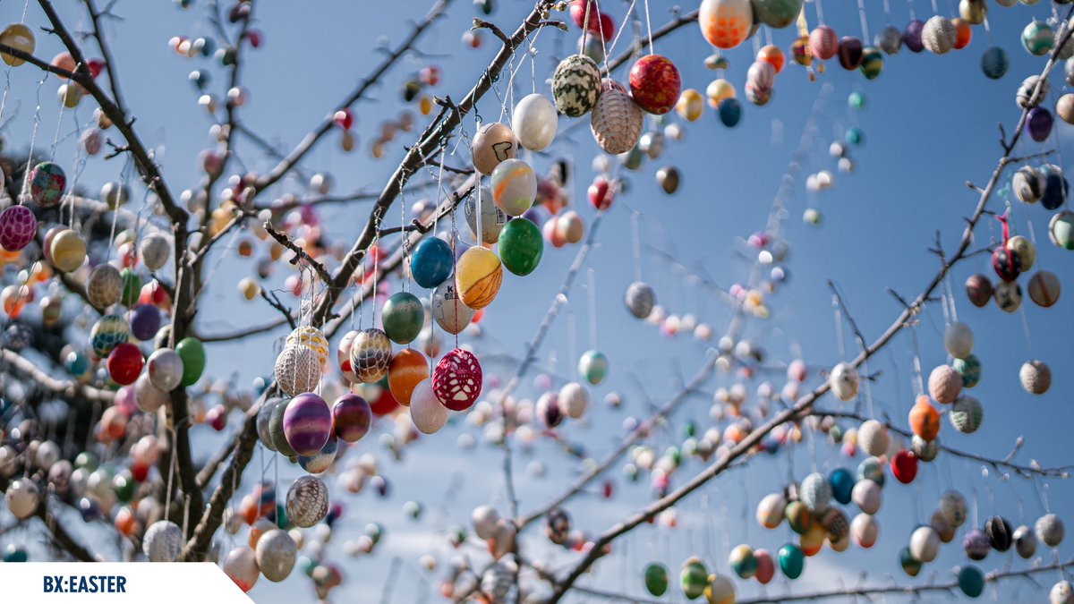 Wir wünschen Euch ein frohes Osterfest und einen sonnigen Tag. 🌿 Genießt die Zeit mit Eurer Familie zwischen Tradition, Bräuchen und Ostereiersuche. 🥚 Euer Batix-Team 💙

#batix #bx #saalfeld #ostern #froheostern #ostereier #ostersonntag #ostermontag #osterzeit #happyeaster