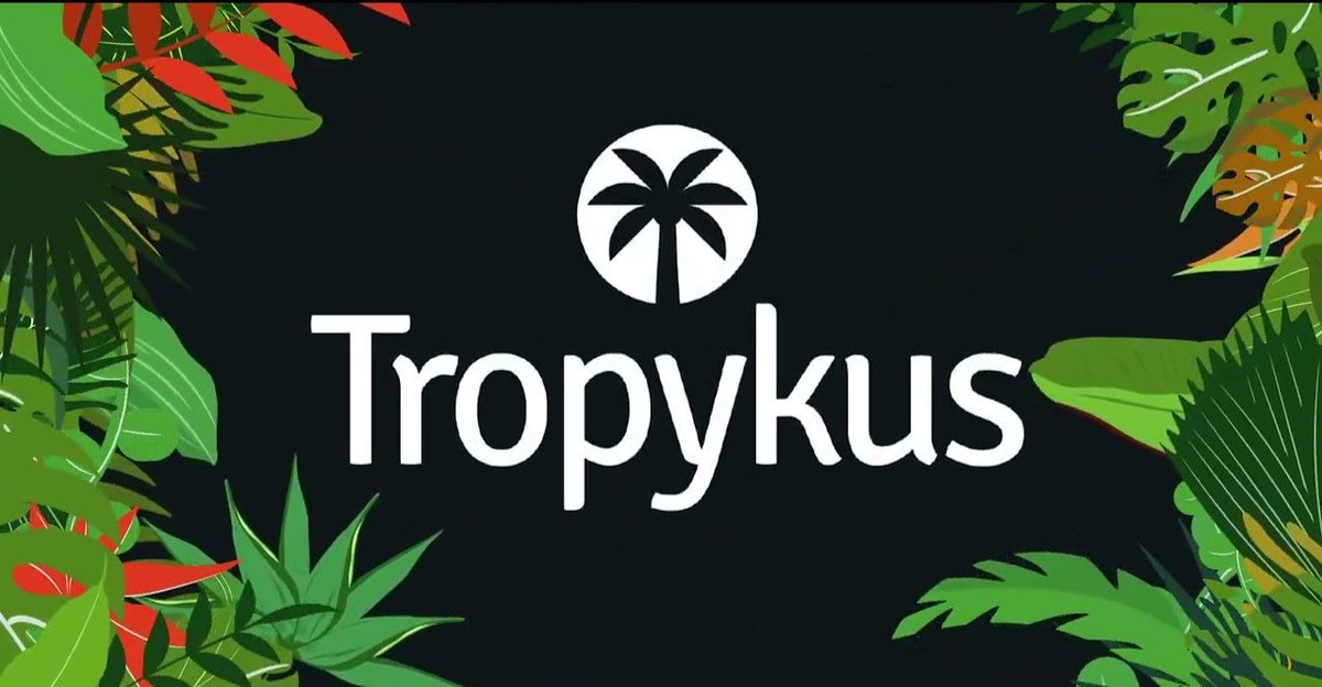 Bitcoin Asere 🇨🇺 (@bitcoinasere) on Twitter photo Atención todos 📣
Sesión AMA con <a href="/tropykus/">Tropykus 🌴🍹</a> 🌴
Una DApp que forma parte del ecosistema de <a href="/rootstock_es/">Rootstock Español</a>, en la cual podremos ahorrar o pedir préstamos con #Bitcoin y #Doc 💰 Atención todos 📣
Sesión AMA con <a href="/tropykus/">Tropykus 🌴🍹</a> 🌴
Una DApp que forma parte del ecosistema de <a href="/rootstock_es/">Rootstock Español</a>, en la cual podremos ahorrar o pedir préstamos con #Bitcoin y #Doc 💰