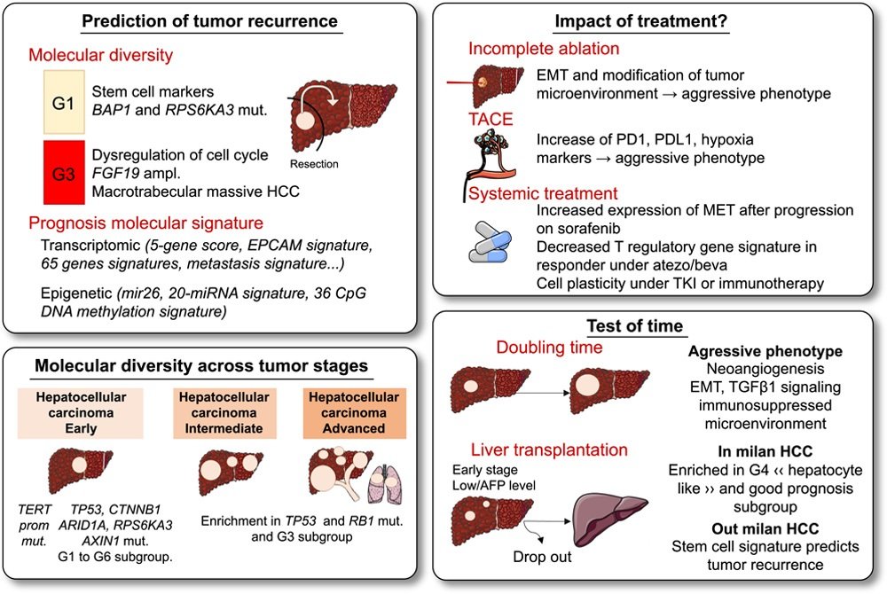 HEPATOLOGY Journal (@hep_journal) on Twitter photo REVIEW:
<a href="/massimoiava/">massimo iavarone</a> et al. Indolent cancer and pattern of progression: Two missing parameters in trial design for hepatology
#LiverTwitter
tinyurl.com/yzwmy95a REVIEW:
<a href="/massimoiava/">massimo iavarone</a> et al. Indolent cancer and pattern of progression: Two missing parameters in trial design for hepatology
#LiverTwitter
tinyurl.com/yzwmy95a