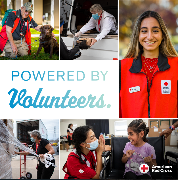 As we step into April, we remember with gratitude every selfless act, every donated moment, every talent generously given for a greater cause. This month you will meet the heroes who behind our mission! 🌟#NationalVolunteerMonth 🌟 Stay tuned!
