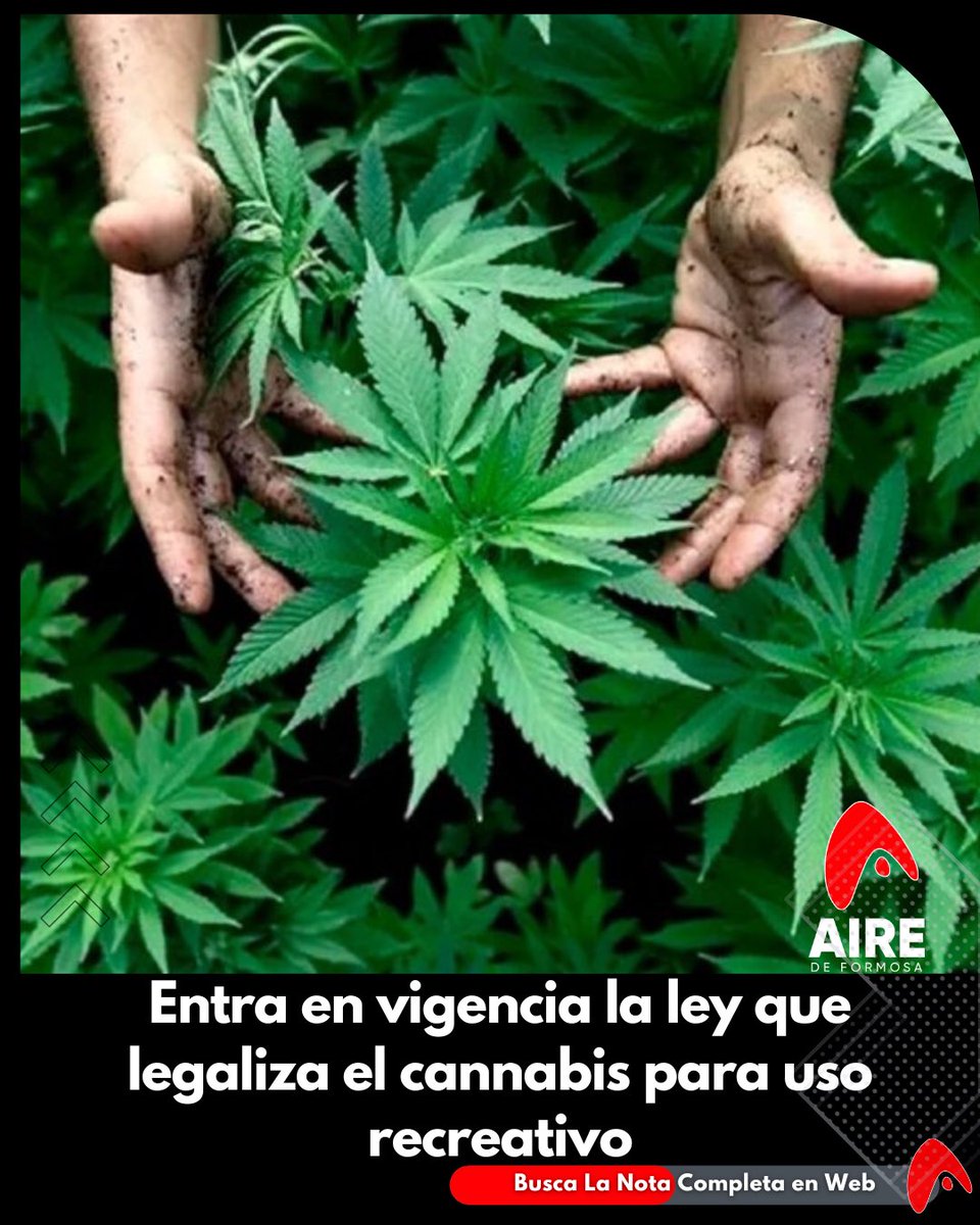 📣A partir de este lunes, entró en vigencia una ley en Alemania que permite parcialmente el cultivo y posesión de cannabis para uso recreativo a partir de este lunes.

🪴Los adultos podrán poseer hasta 25 gramos en público y 50 en casa, así como cultivar hasta tres plantas...
