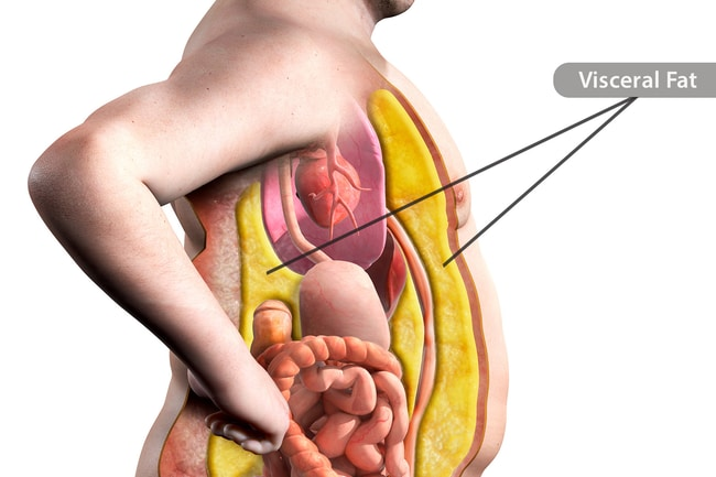 Your belly fat is setting you up for cancer, heart disease & early death. If you struggle to drop your gut, this is the real reason why: