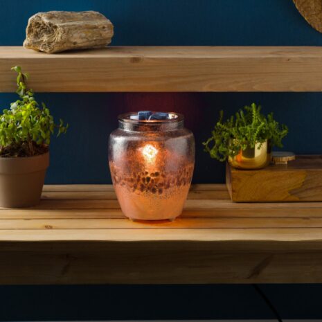 Scentbars tweet media