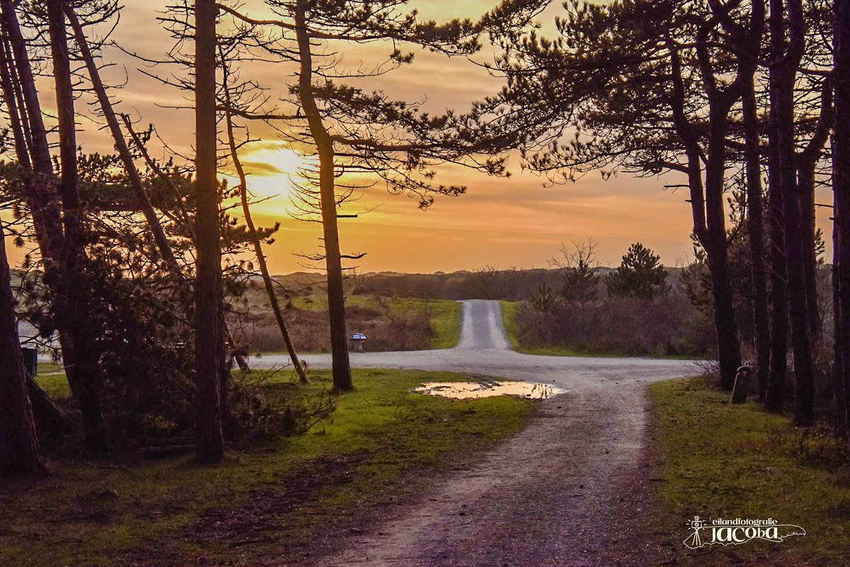 De kruising vanaf het Gerritpad…. #terschelling #wadden #sunset