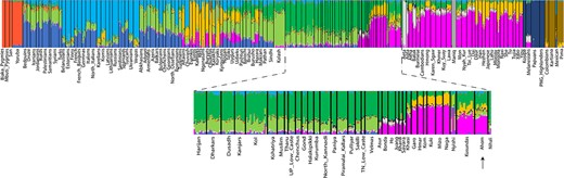 The genetic admixture and assimilation of Ahom: a historic migrant from Thailand to India doi.org/10.1093/hmg/dd…