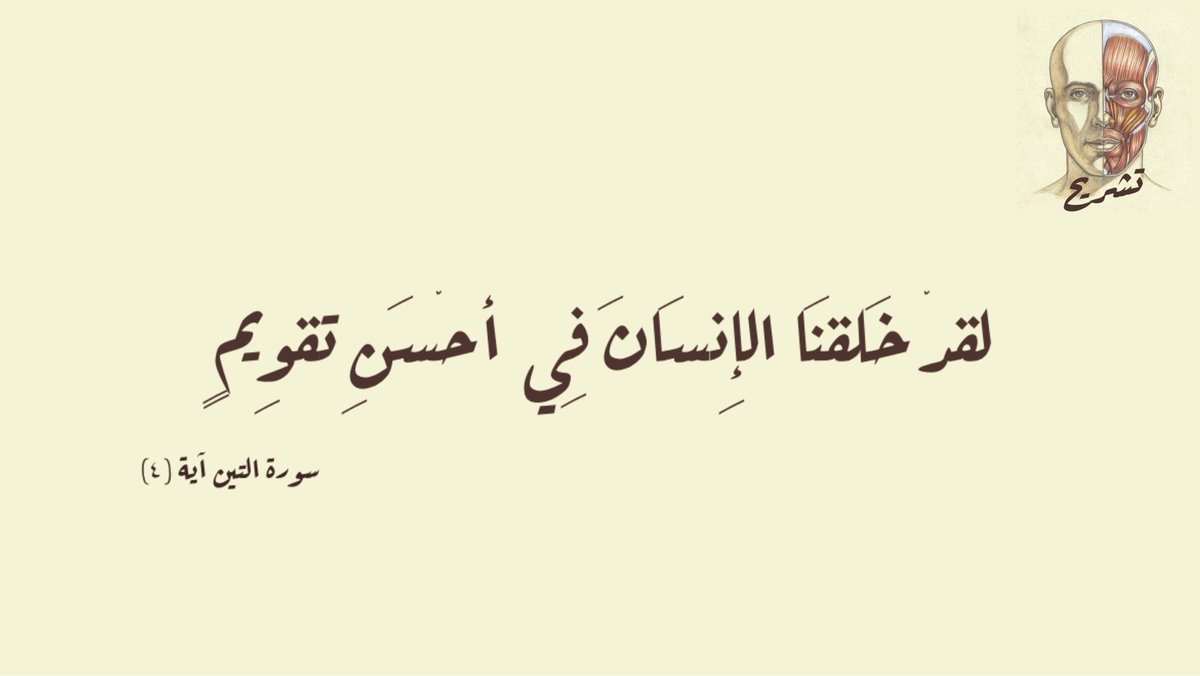 Tashreeah | تشريح tweet media