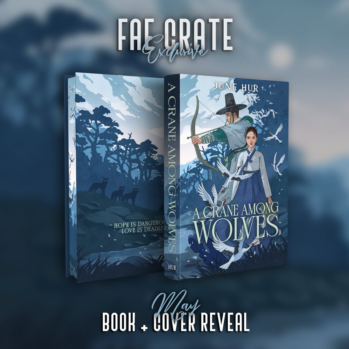 ✨MAY BOOK & EXCLUSIVE COVER REVEAL✨ We are so thrilled to reveal that our May book is A CRANE AMONG WOLVES by @WriterJuneHur! Here's our exclusive all-new cover by @HayleeMorice and a peek at the page edge design! 🏹✨ JOIN THE WAITLIST: faecrate.com/pages/monthly