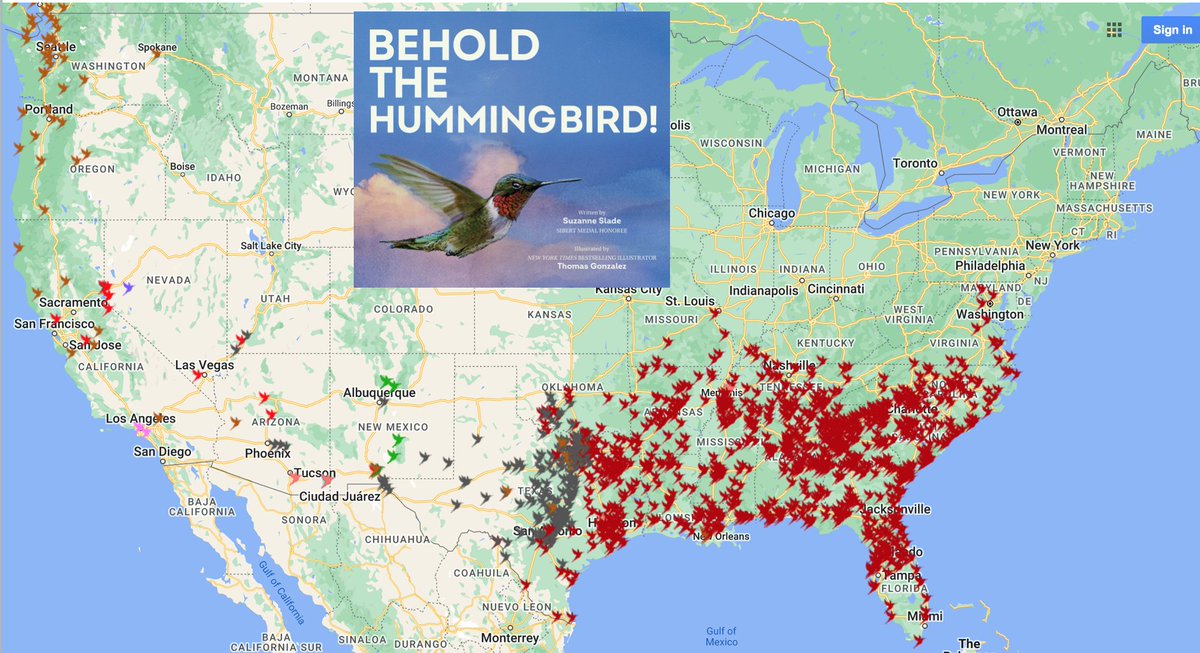 Hummingbirds are returning! Follow their #Migration (Meanwhile, BEHOLD THE HUMMINGBIRD arrives tomorrow.) #kidlit #NewBook #nonfiction google.com/maps/d/viewer?…