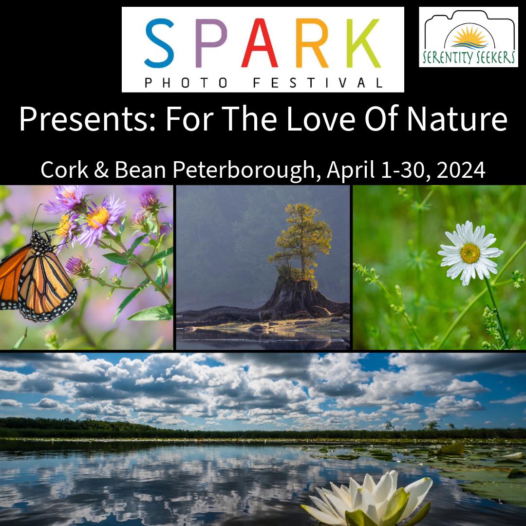 I am showing some of my work in a group exhibit for the @SparkPhotoPtbo, Apri1-30th . Check out Serenity Seekers at the Cork and Bean in Peterborough, ON. Reception April 5th 6-9pm #sparkphotofestival #photoexhibit #fortheloveofnature #kawarthanow instagram.com/rachelle_richa…