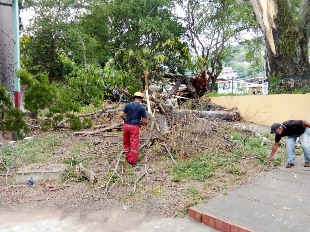 Protección Civil del Municipio Trujillo tweet media