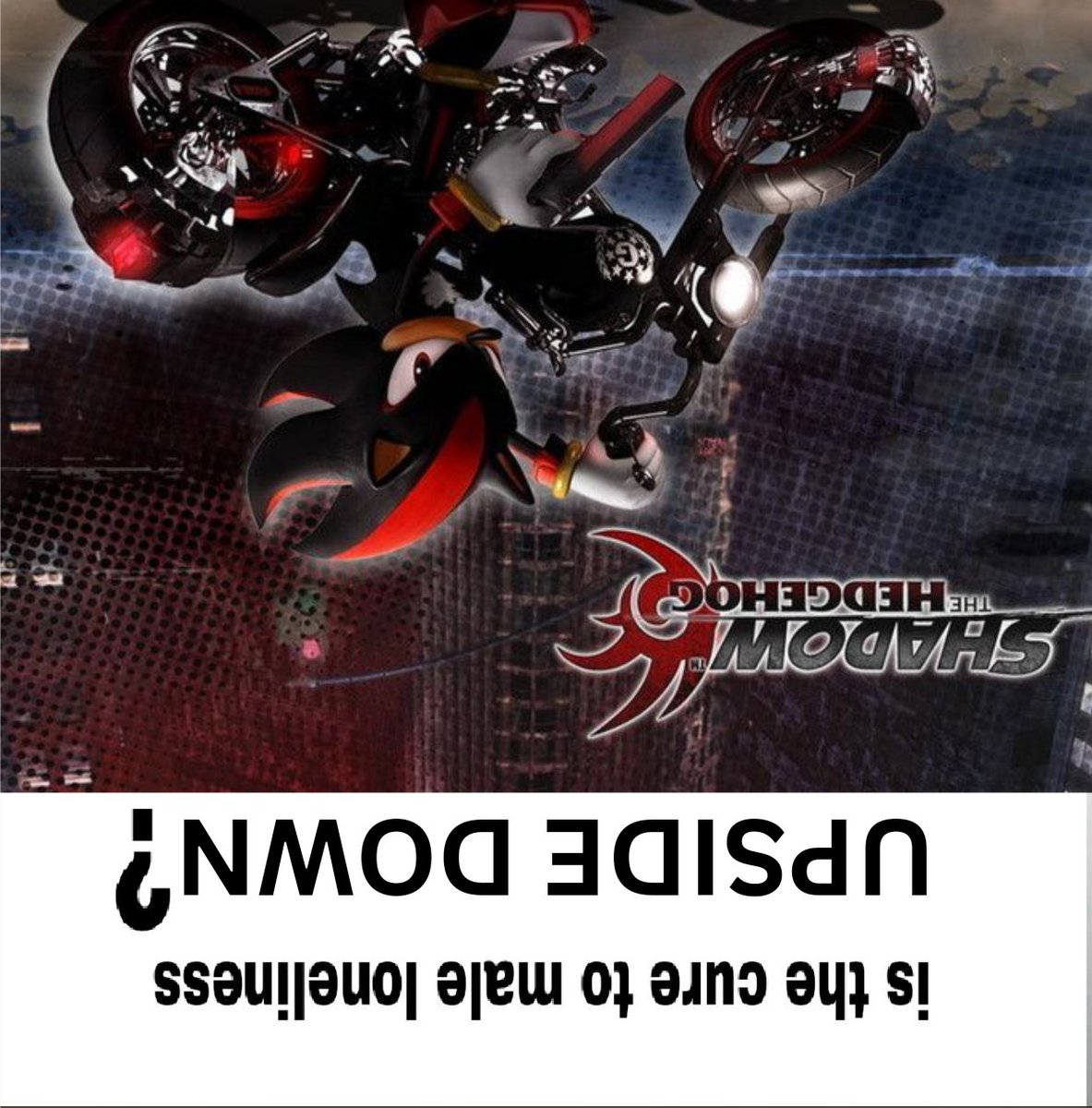 Shadow the Hedgehog (@heisallofhim) on Twitter photo 