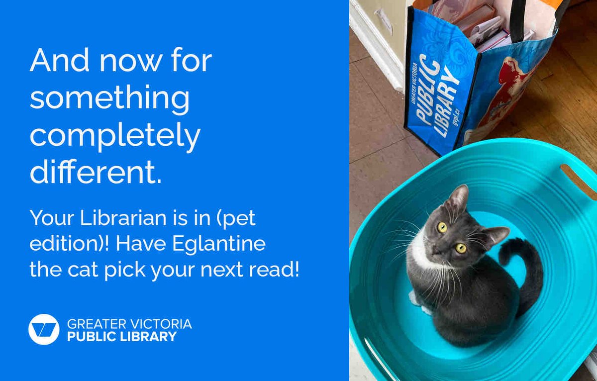 Are you ready for a purr-fectly playful edition of ‘Your Librarian is In’? Meet Eglantine, our feline friend, ready to dish out recommendations on the coolest books, magazines, and more! Comment below, and Eggy will whisker up a recommendation. Note: Not an April Fools’ joke! 🐾