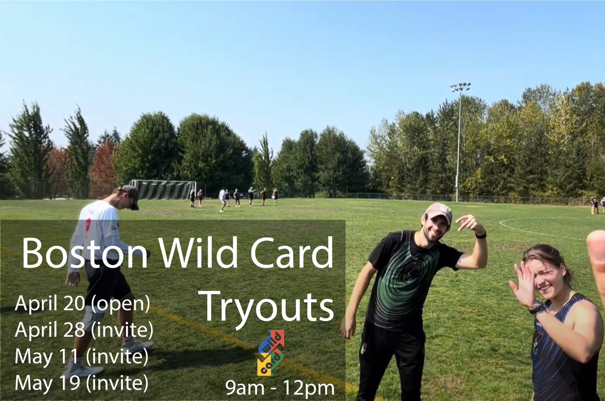 Wild Card tweet media