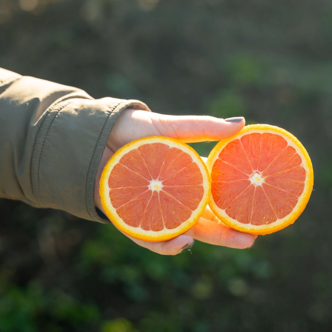Buck Brand Citrus tweet media