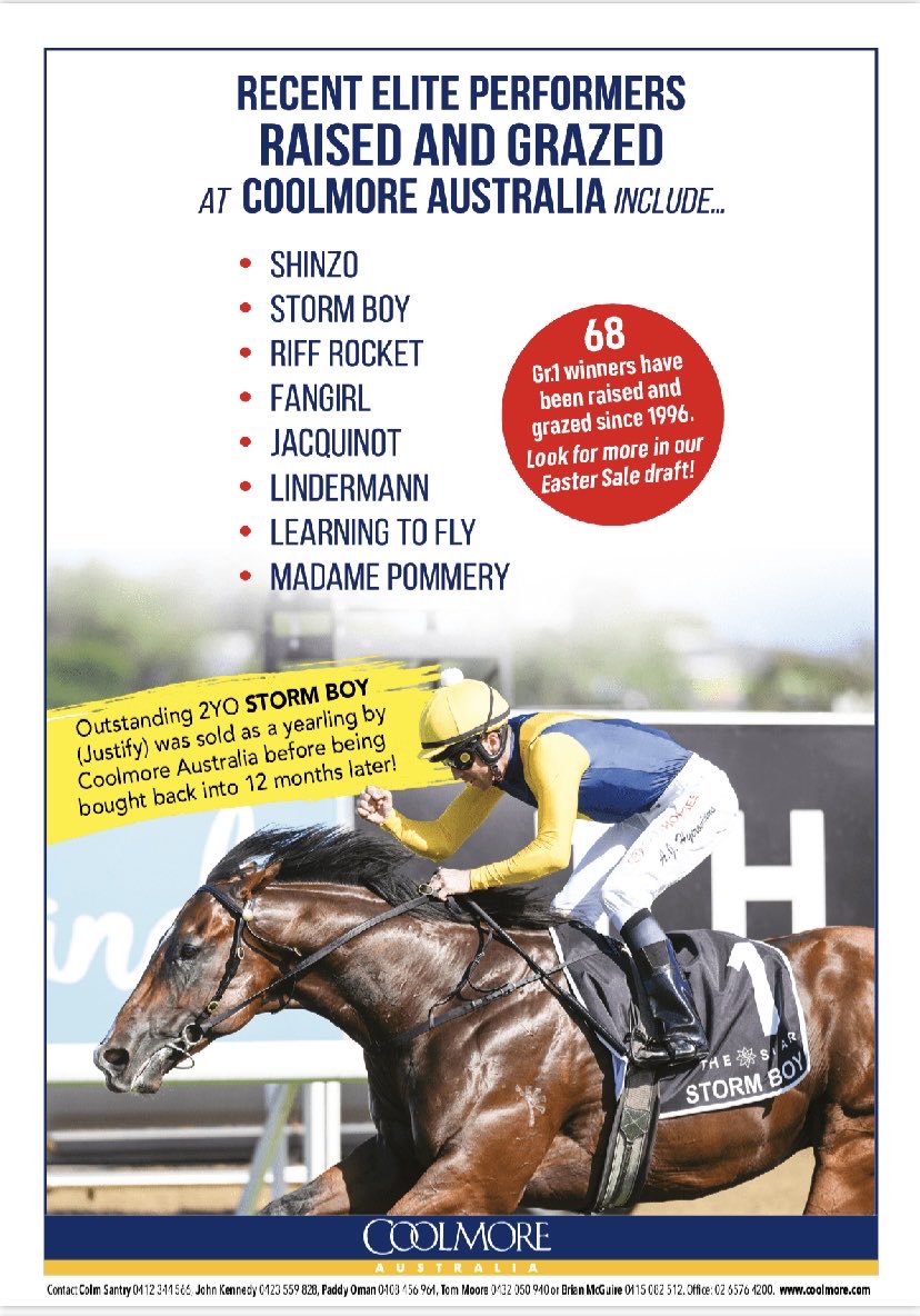 COOLMORE - recent elite performers include two by JUSTIFY and a G1 Golden Slipper winner by SNITZEL More of the same on offer at Easter 👇