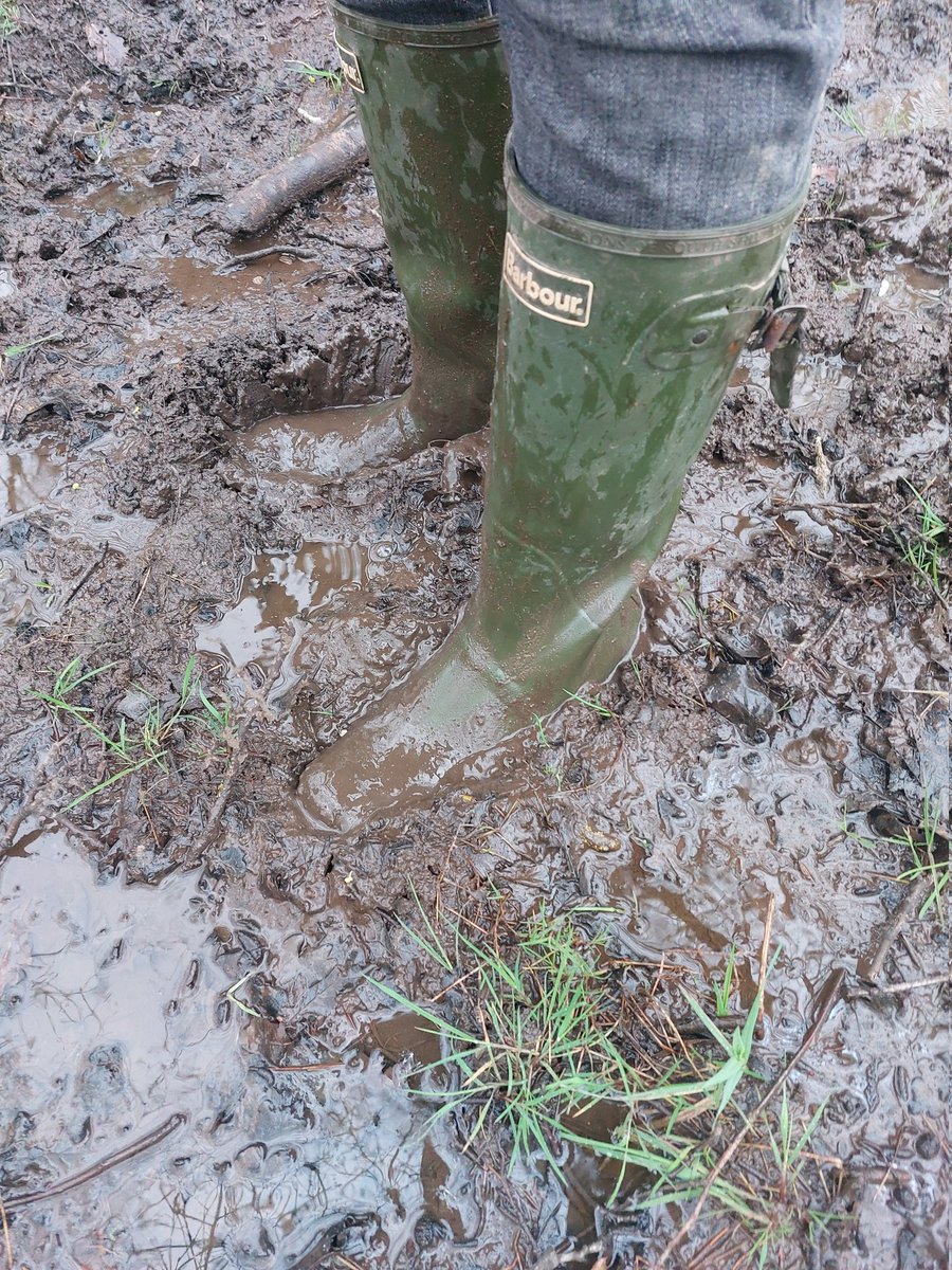 Playing in that mud #wellies