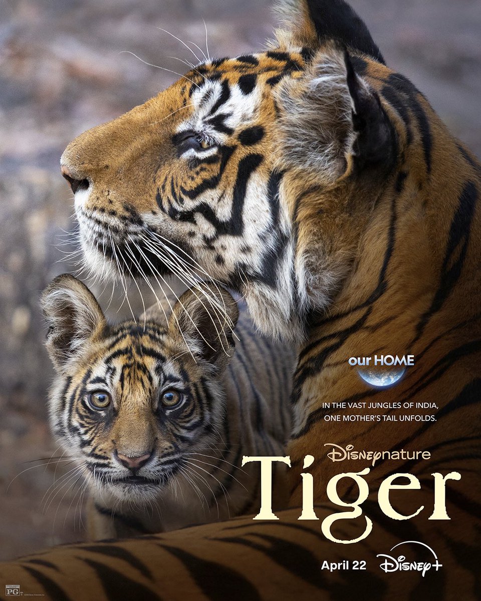 ‘Tiger’… a story that captures the wild and brings out everything that happens within it - tales of love, conflict, hunger, survival and so much more. In the bustling jungles of India, where creatures big and small, timid and majestic roam, there’s Amba - a tiger with a