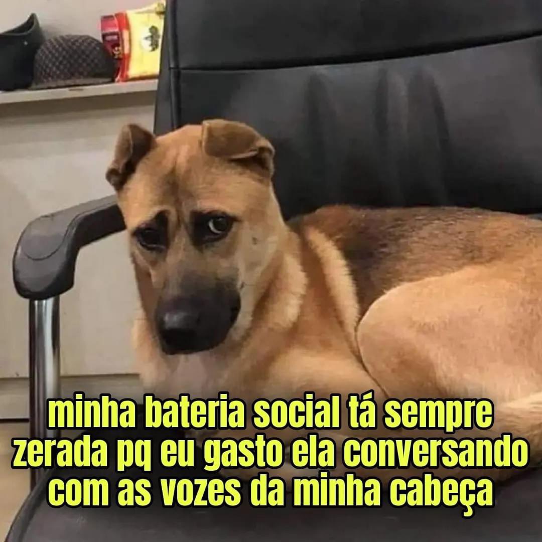 matheus's tweet photo. faz sentido https://t.co/NwXaHjTINN