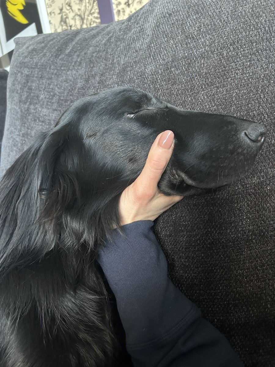 sara cox💙 tweet media