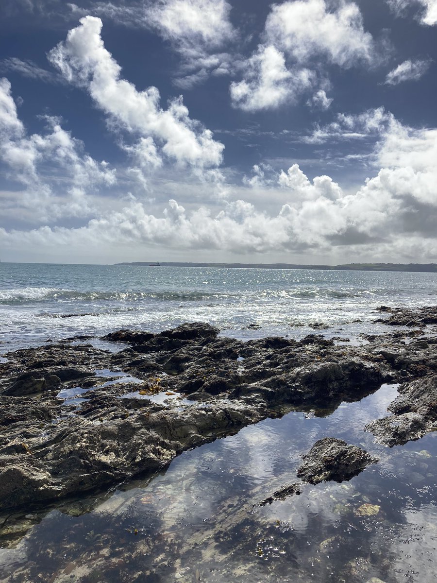 Just enough time between the #BankHolidayMonday #rain for a bit of #bluesky and #sunshine to appear, so we could go for a mooch among the #rockpools in #Falmouth! #Easter #Cornwall #home