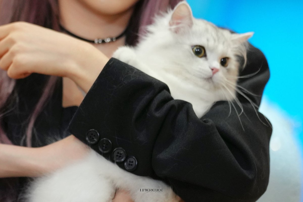 liuwy66's tweet photo. #丢丢 #diudiu https://t.co/XENk8NRaZT