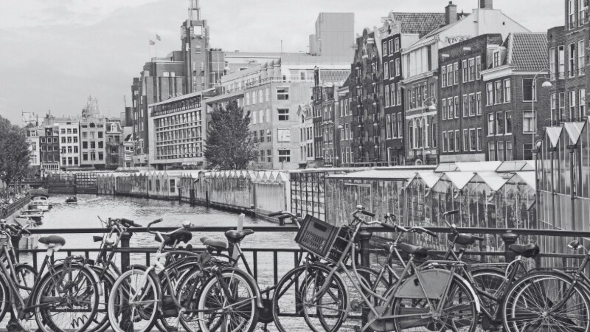 Carlos Dehesa tweet media