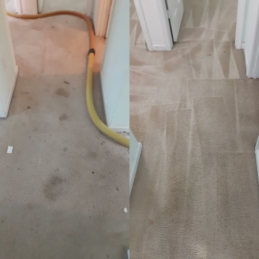 CookCleaningCo's tweet image. Choose @cookcleaningco when its time to clean your carpet, area rugs and upholstery. Our equipment, methods and knowledge make all our clients repeat customers. 

#cookcleaningco #carpetcleaning #rugcleaning #upholsterycleaning #steamcleaning #atlanta