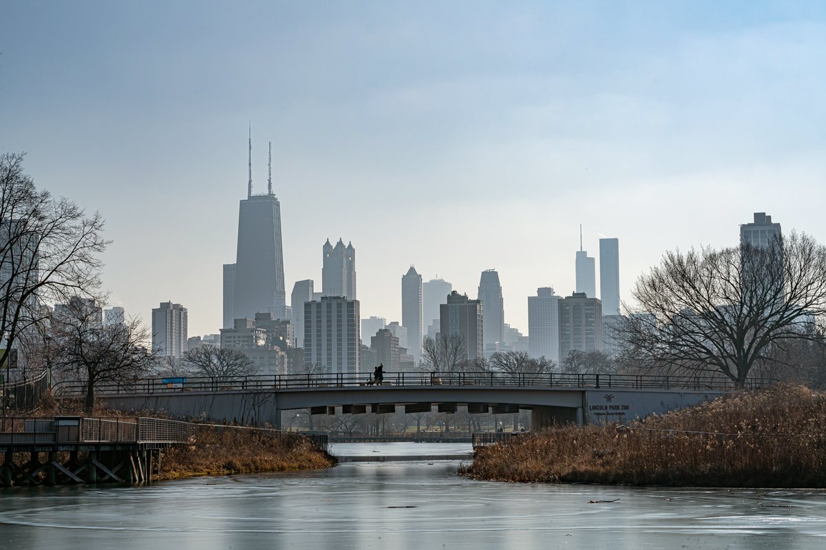 Discover beauty of nature in the heart of Chicago at @lincolnparkzooNature Boardwalk. This 14-acre restored prairie is part of the accredited arboretum, hosting research by the Urban Wildlife Institute. 🌿 #IMLSmedals 📷: Brandon Tucker