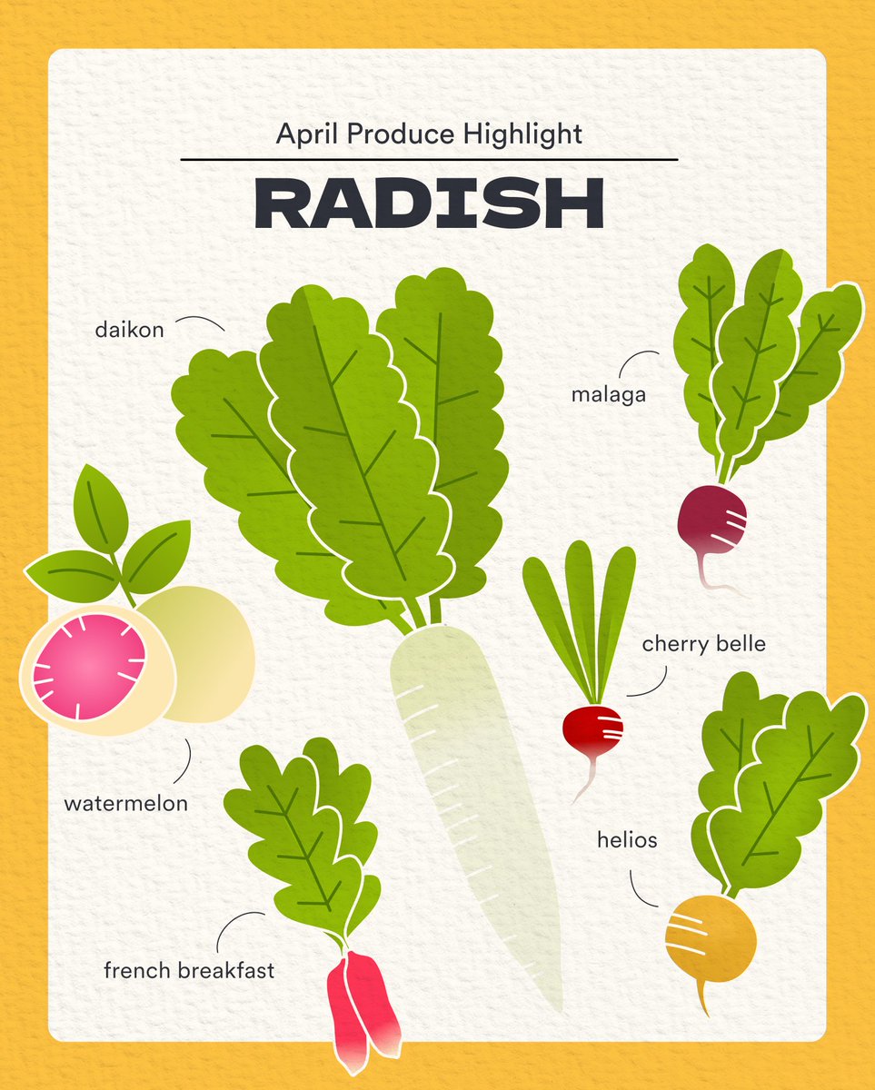 Hello April! We're starting the month with a deep dive into our favorite in-season root vegetable 💕 🌱 Which radish is your favorite to cook with?