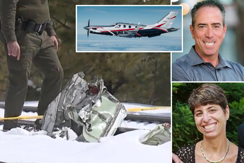 Israeli tech entrepreneur killed in plane crash remembered as ‘humble’ and ‘inspiring’ trib.al/ftLGPoc